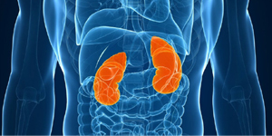 Kidney Disorders